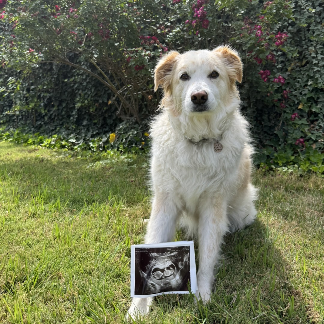 Photo shared by Camille for their Babylist baby registry.