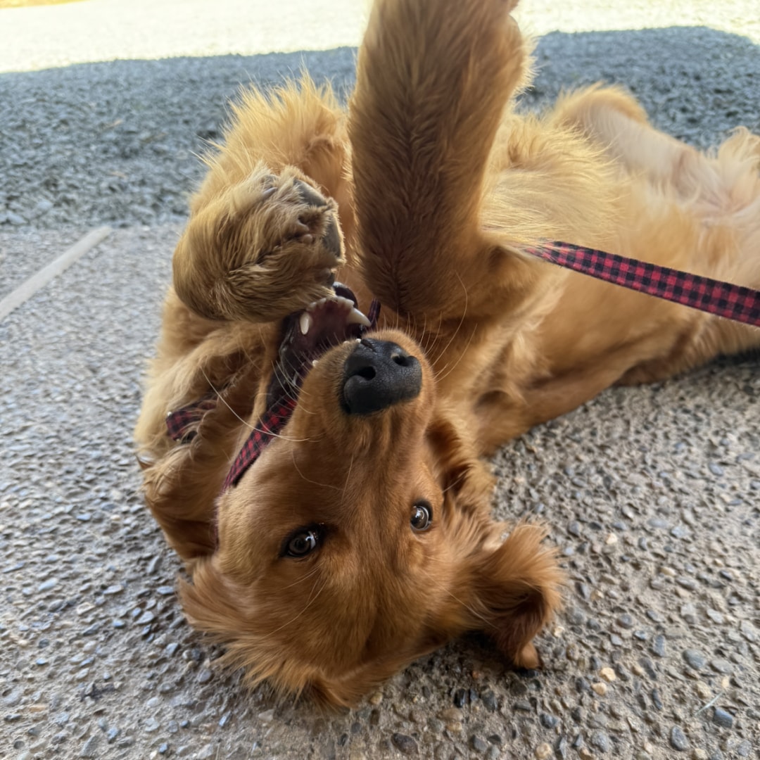 Photo shared by Brittney for their Babylist baby registry.