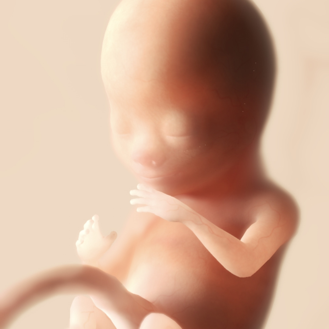 Photo shared by Daniel for their Babylist baby registry.