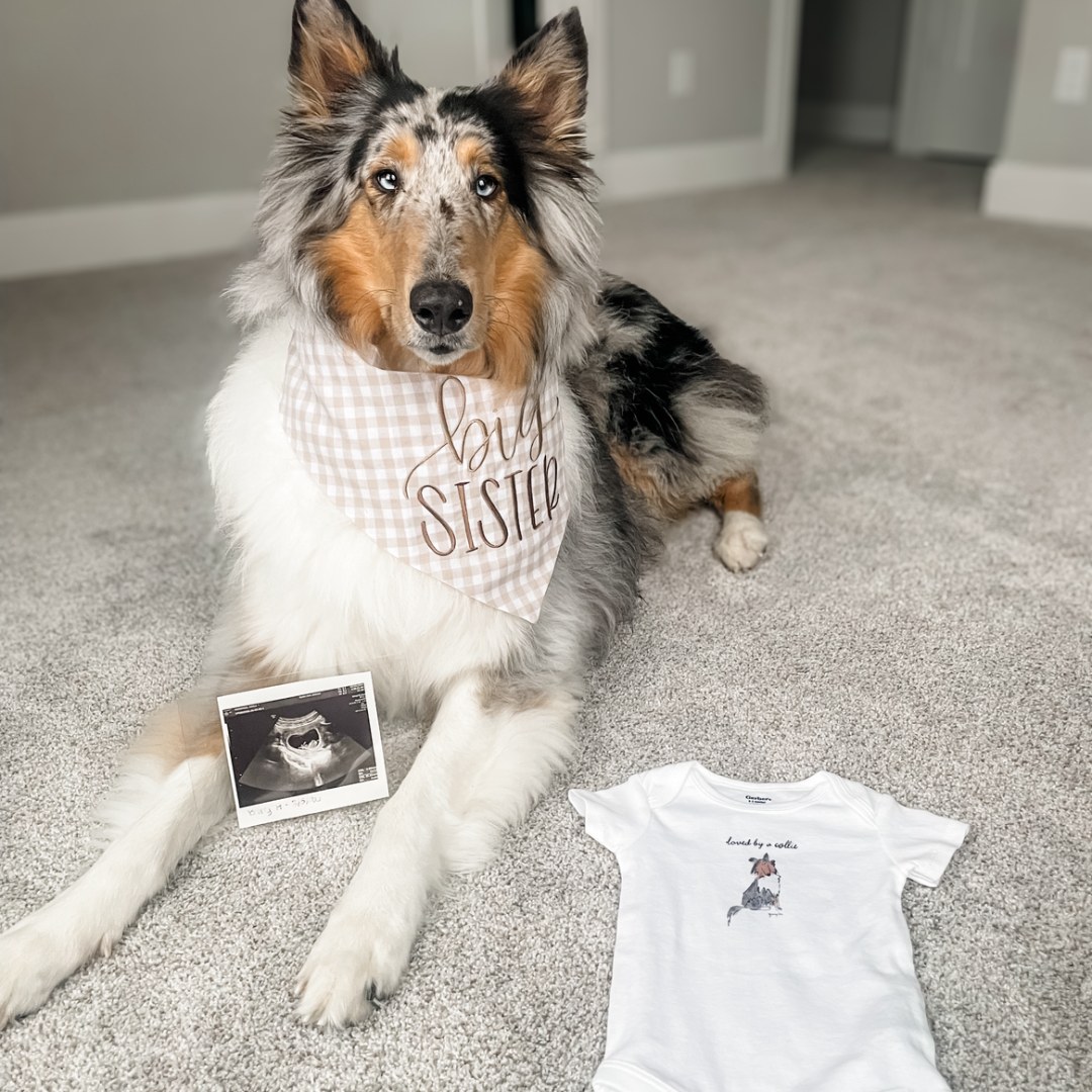 Photo shared by Kayla for their Babylist baby registry.