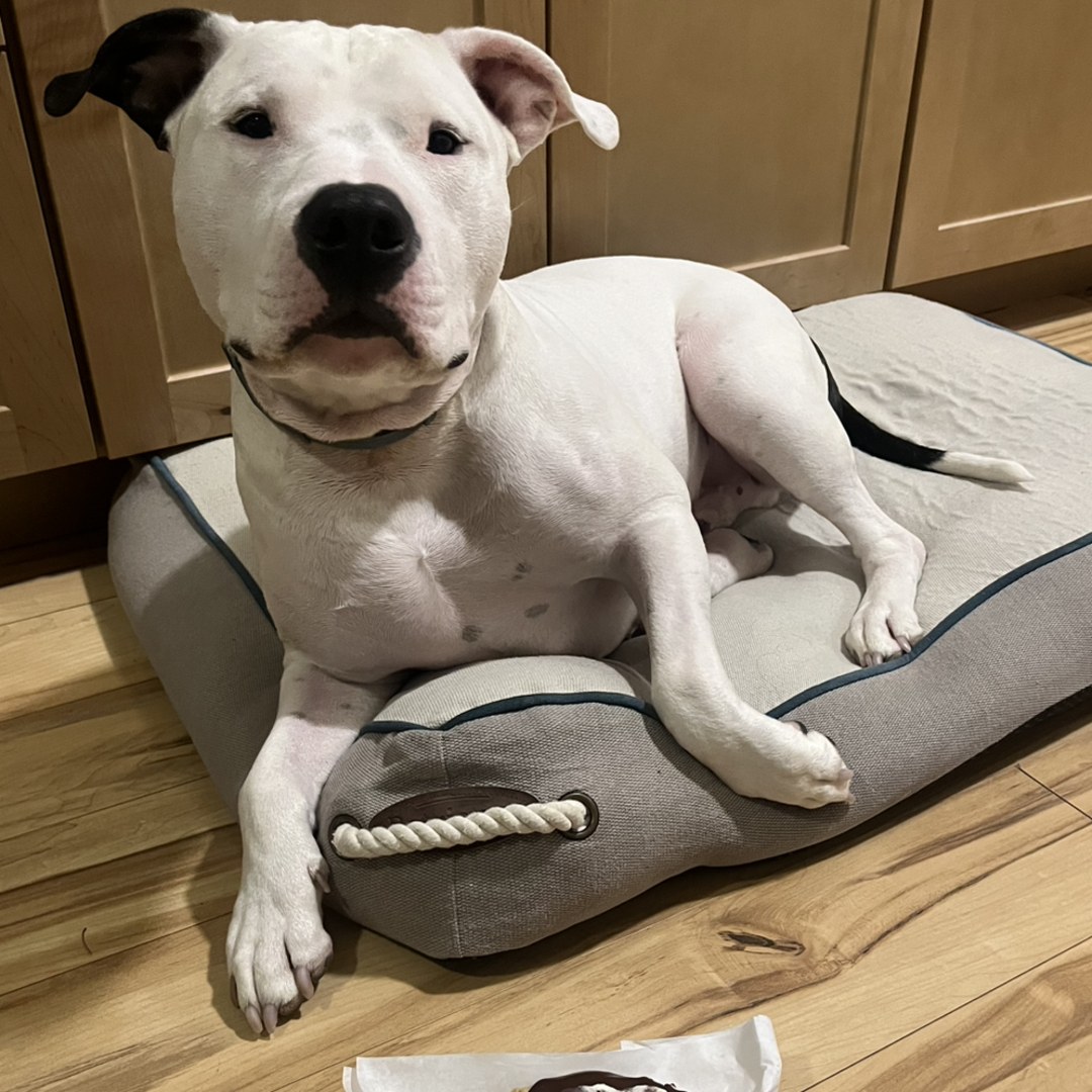 Photo shared by Caitlin for their Babylist baby registry.