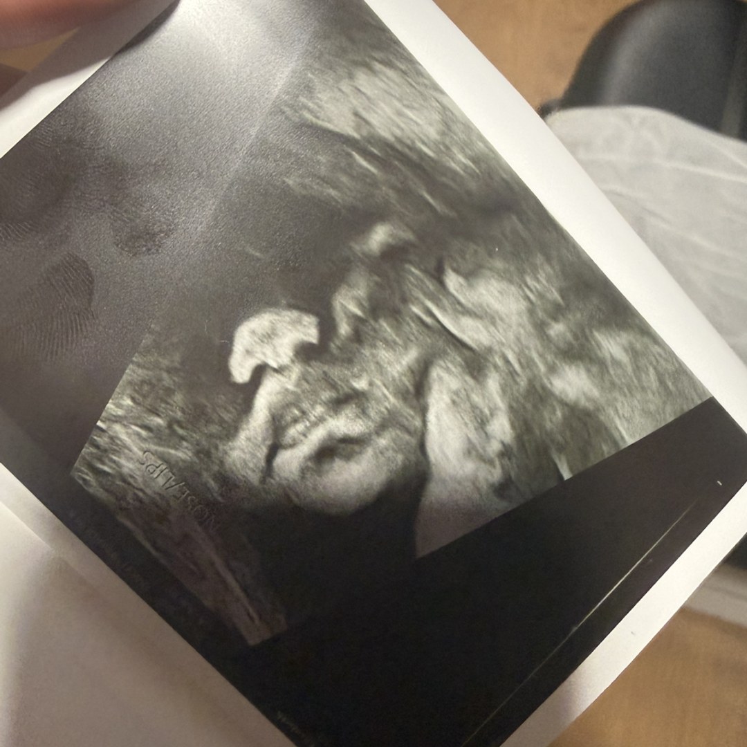 Photo shared by Elisabeth for their Babylist baby registry.