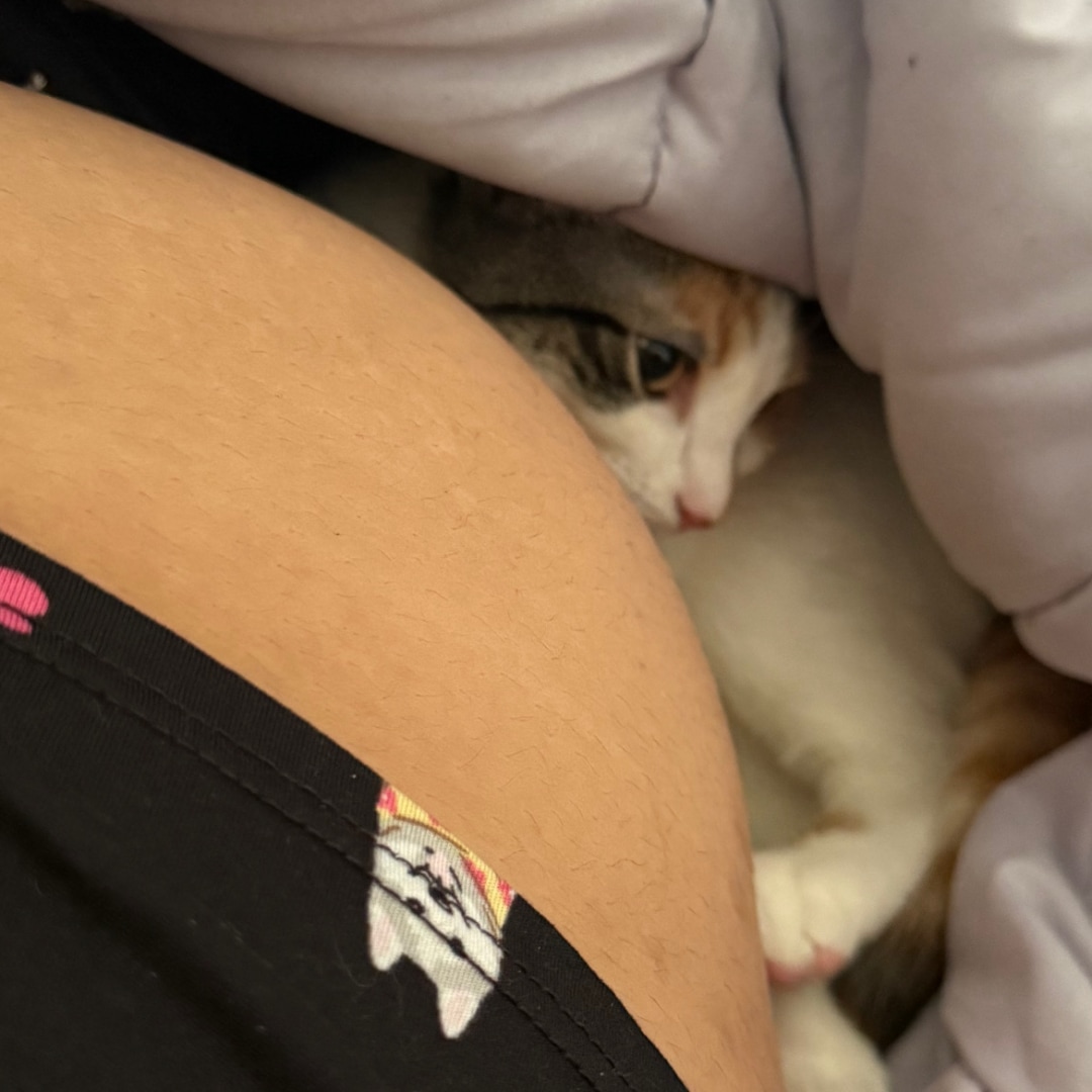 Photo shared by Athena for their Babylist baby registry.