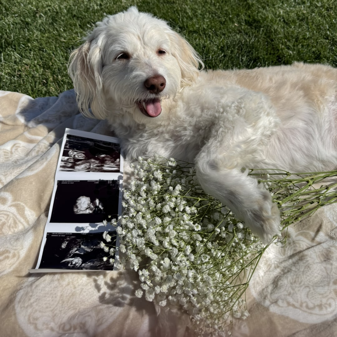 Photo shared by Meredith for their Babylist baby registry.