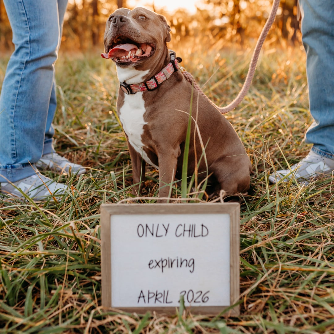 Photo shared by Lindsey for their Babylist baby registry.