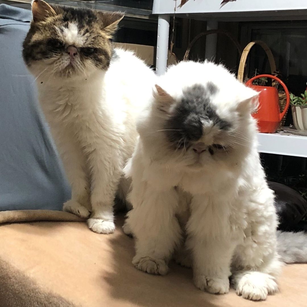 Photo shared by Rachel for their Babylist baby registry.