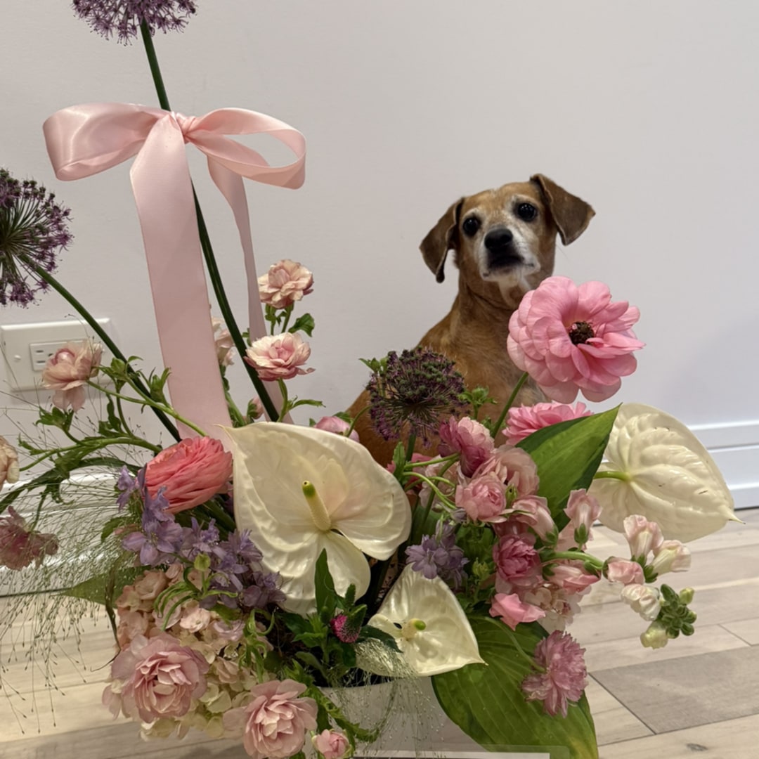 Photo shared by Dolores for their Babylist baby registry.