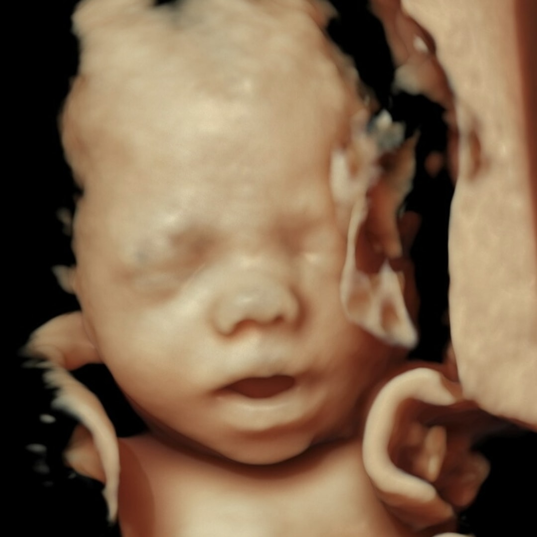 Photo shared by Samantha for their Babylist baby registry.