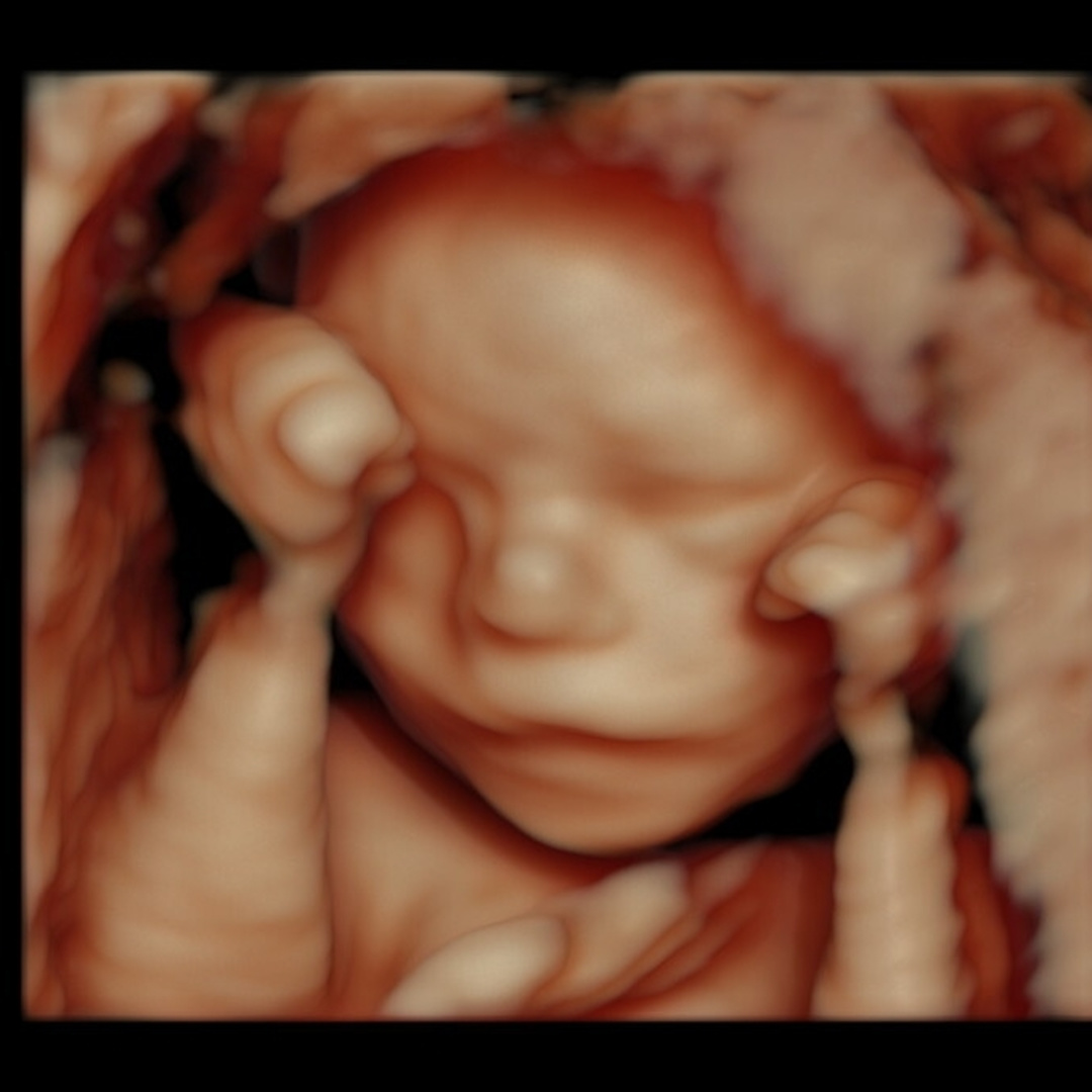 Photo shared by Katie for their Babylist baby registry.