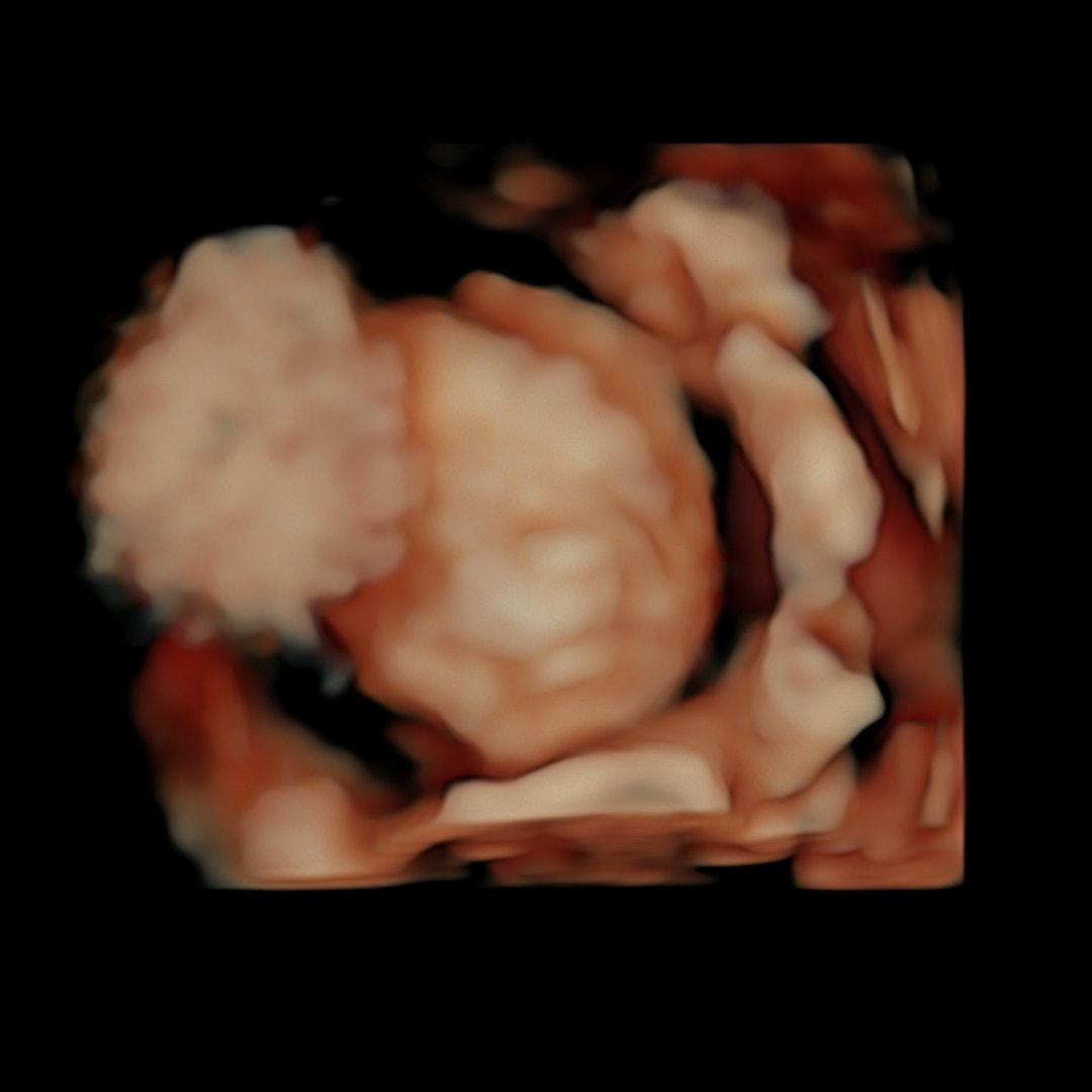 Photo shared by Hannah for their Babylist baby registry.