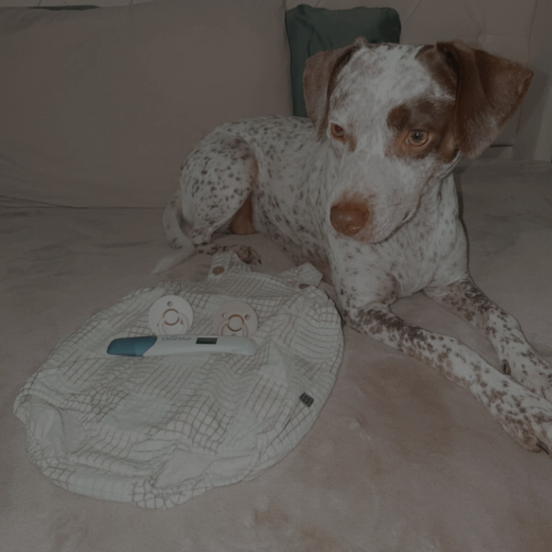 Photo shared by Breanna for their Babylist baby registry.