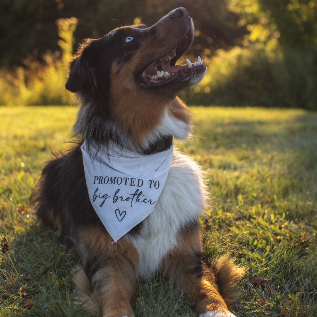 Photo shared by Anna Marie for their Babylist baby registry.