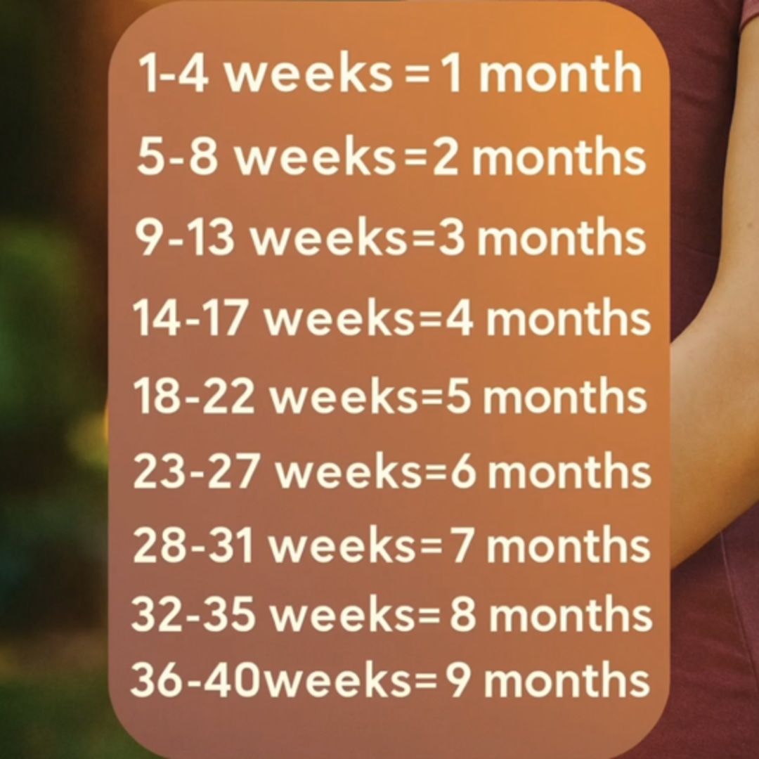 Photo shared by Lydia for their Babylist baby registry.