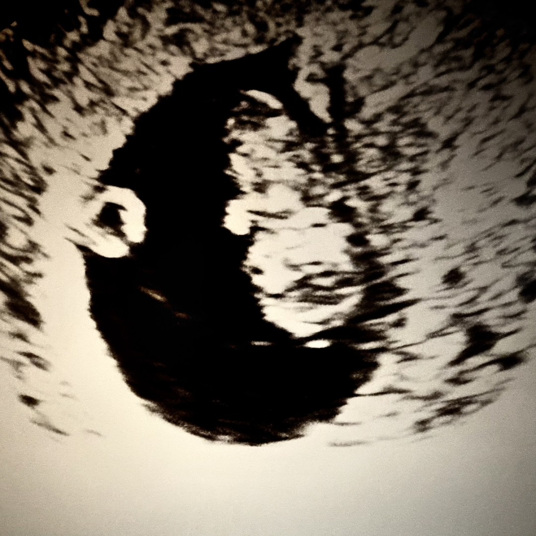 Photo shared by Maddison for their Babylist baby registry.