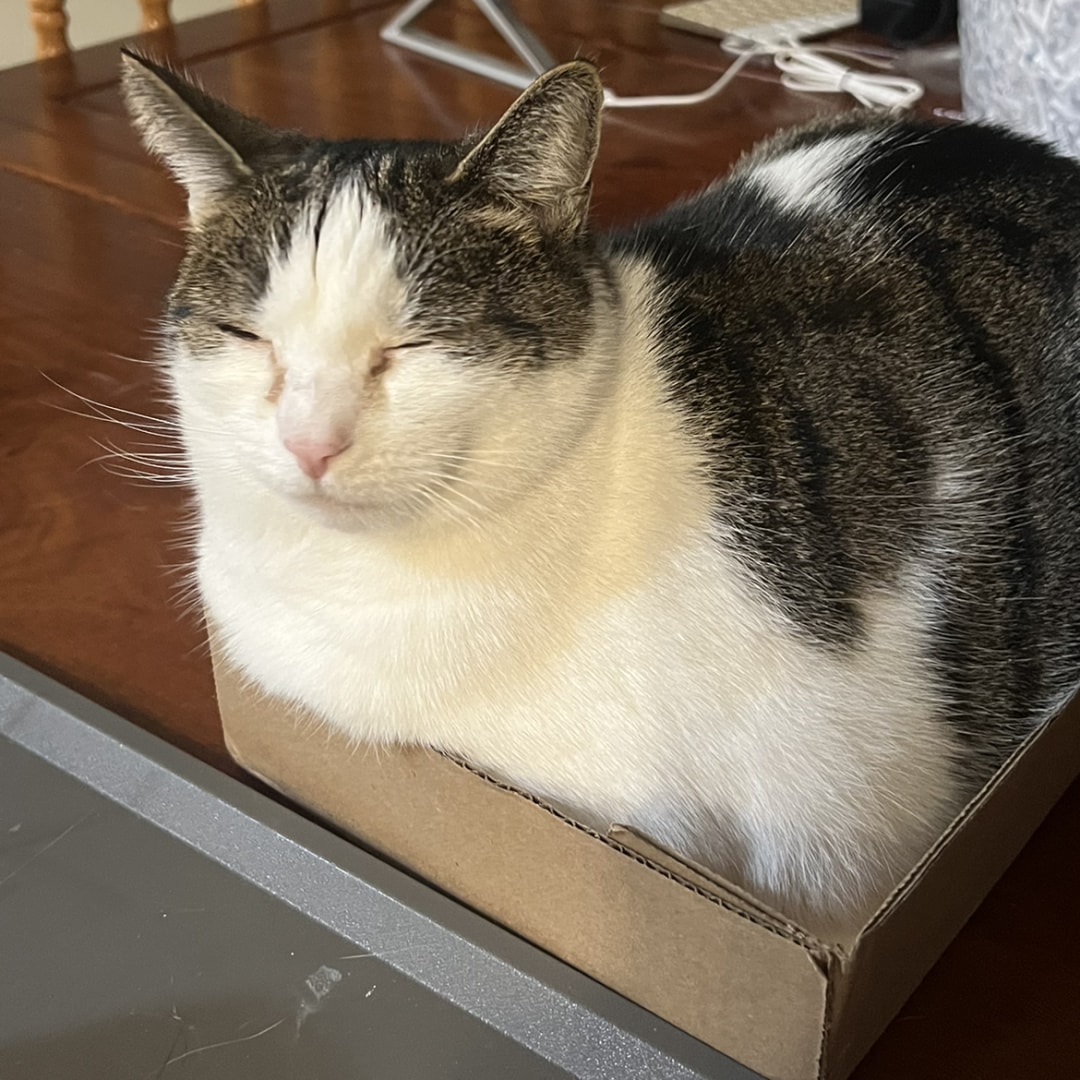 Photo shared by Karen for their Babylist baby registry.