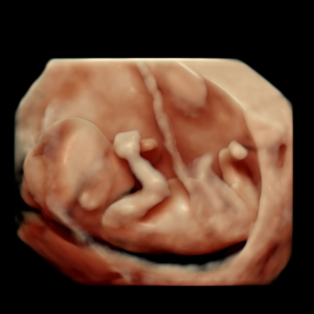 Photo shared by Erica for their Babylist baby registry.