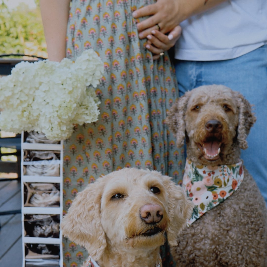 Photo shared by Emersen for their Babylist baby registry.