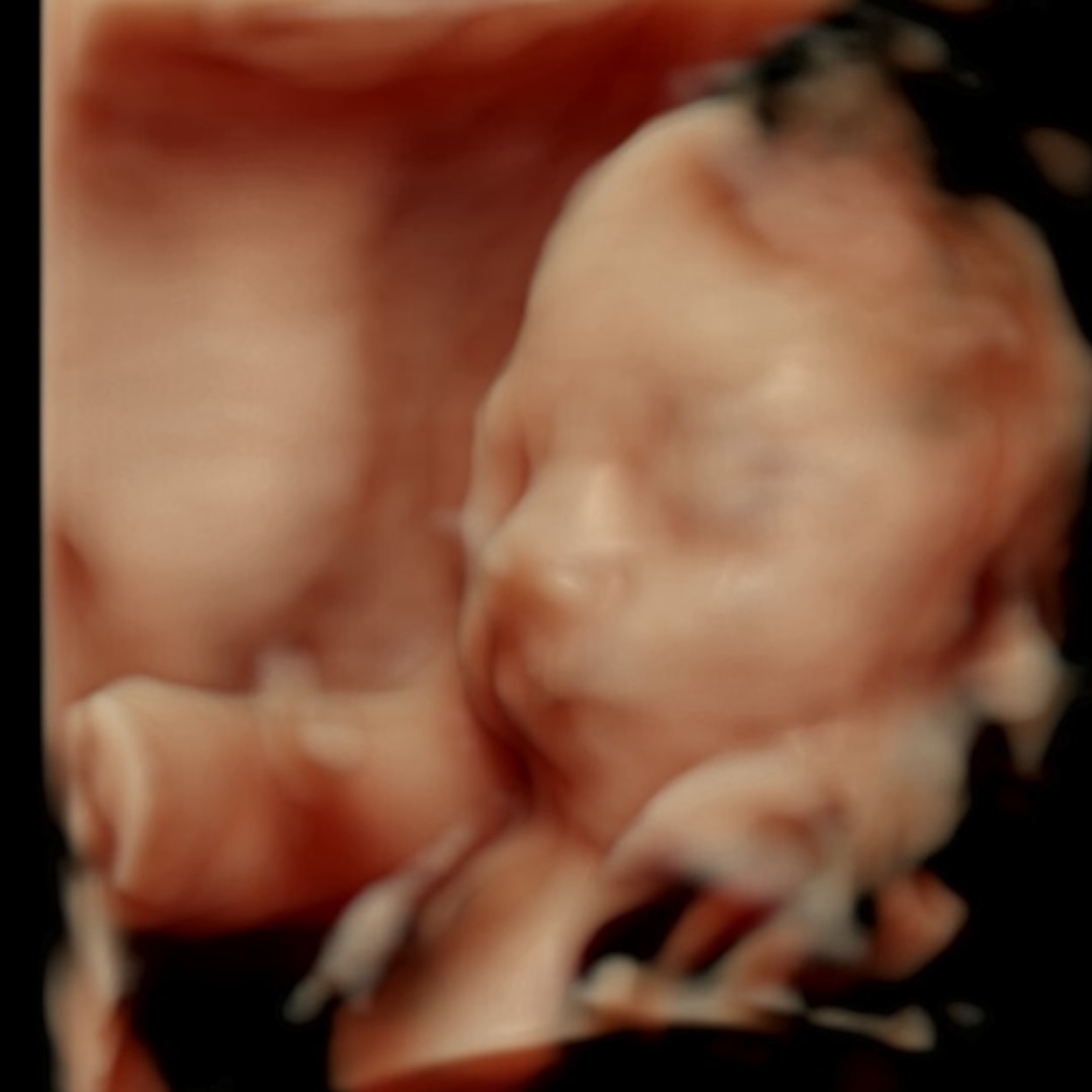 Photo shared by Allie for their Babylist baby registry.