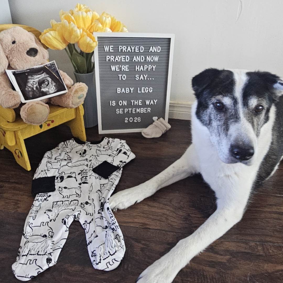 Photo shared by Destiny for their Babylist baby registry.