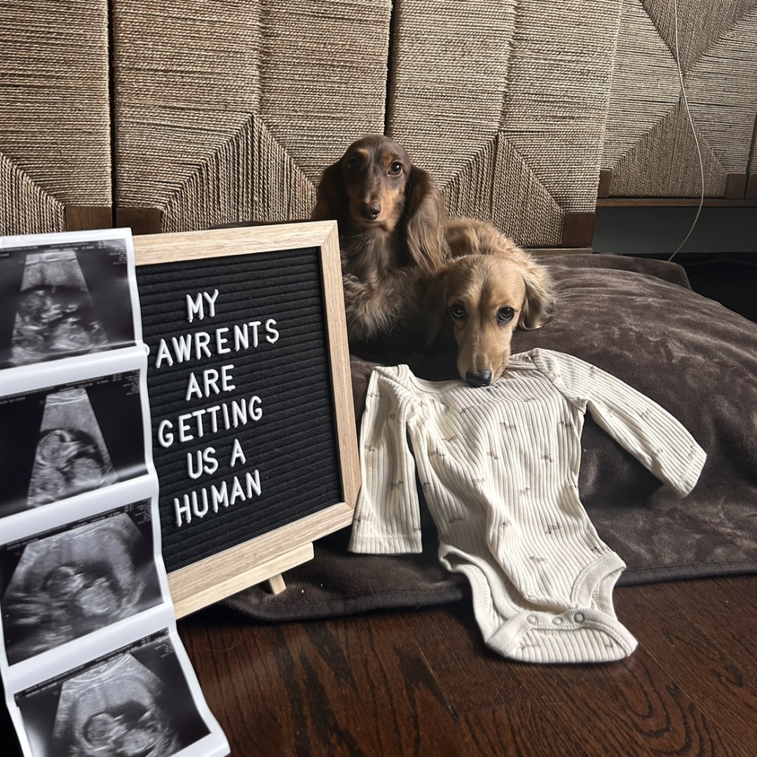 Photo shared by Kathleen for their Babylist baby registry.