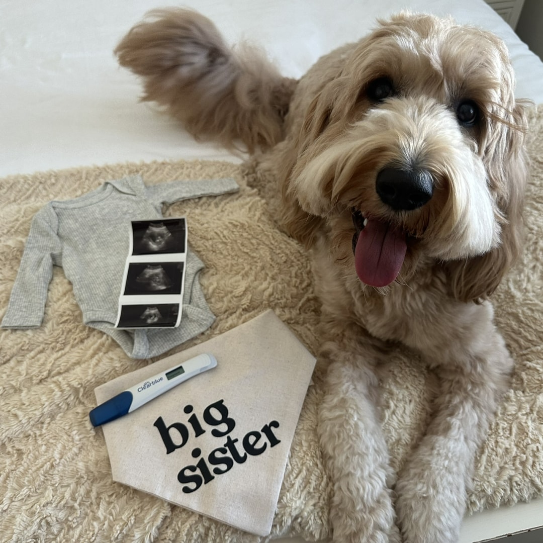 Photo shared by Laura for their Babylist baby registry.