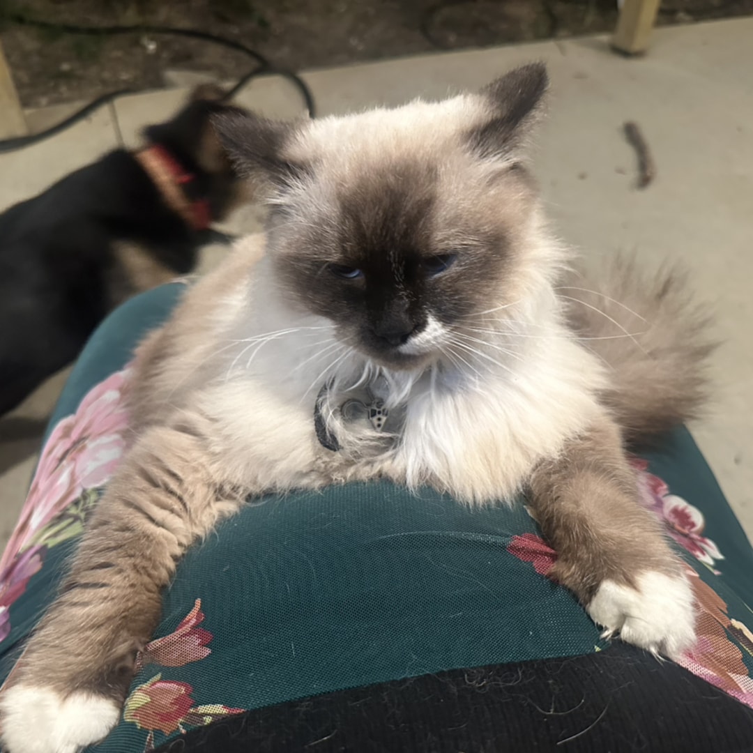 Photo shared by Megan for their Babylist baby registry.