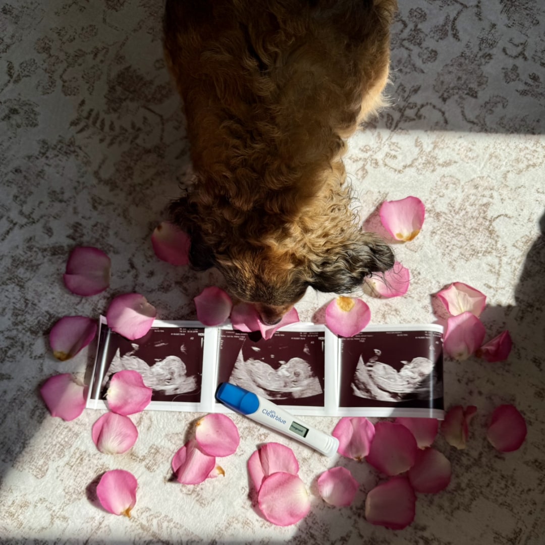 Photo shared by Allison for their Babylist baby registry.