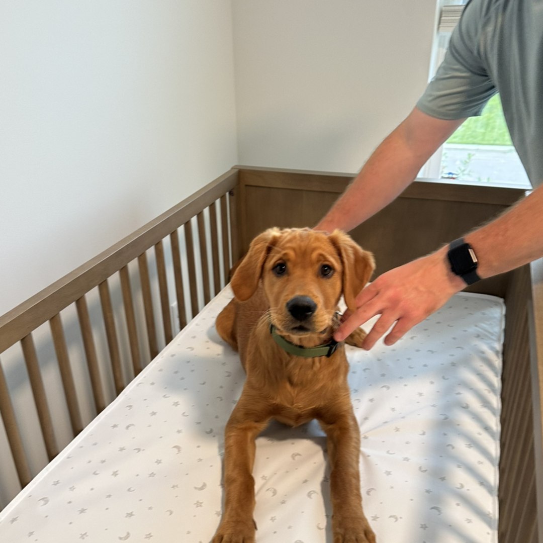 Photo shared by Rachael for their Babylist baby registry.