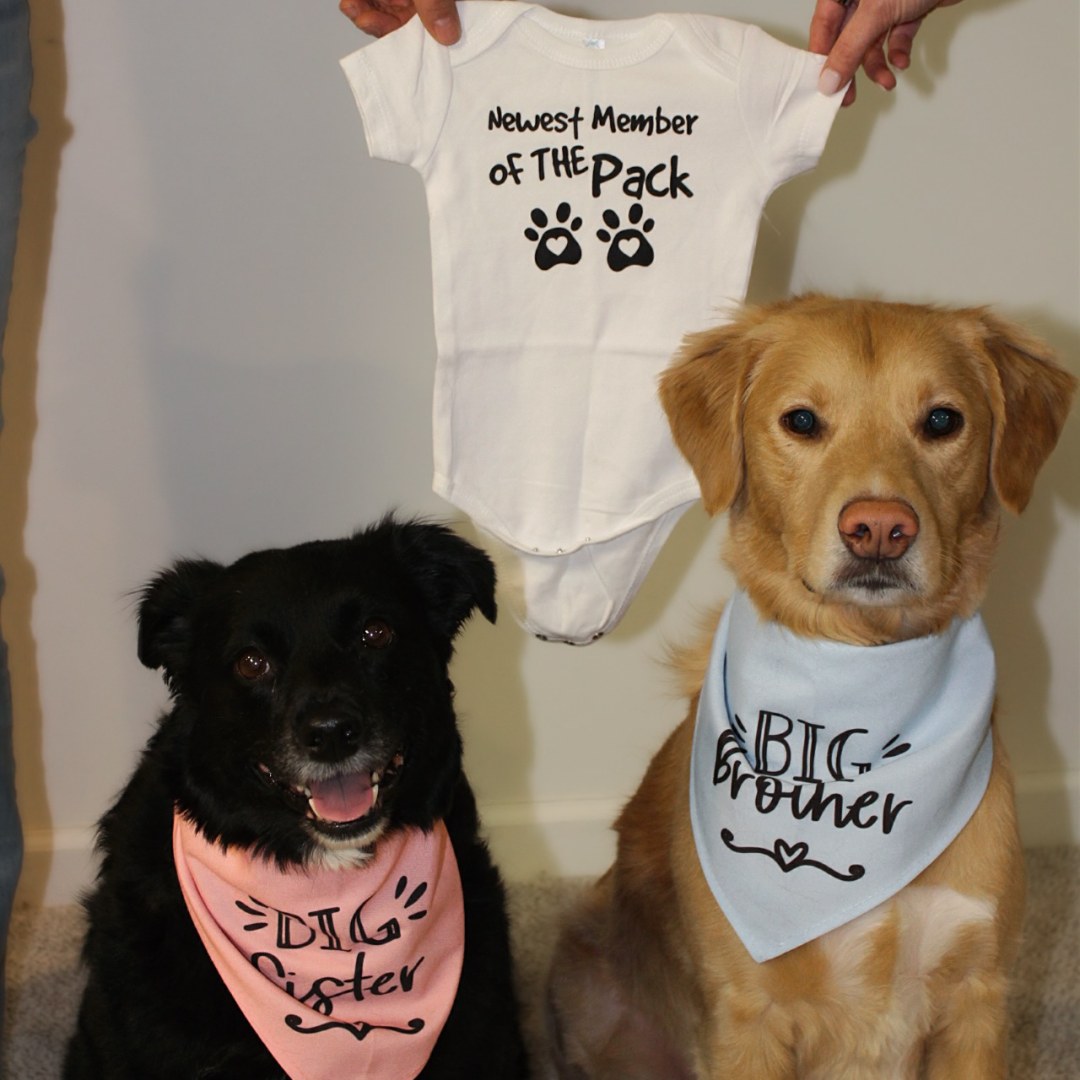 Photo shared by Katie for their Babylist baby registry.