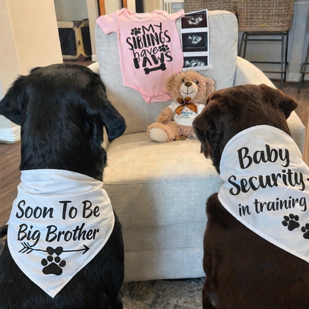 Photo shared by Stephanie for their Babylist baby registry.