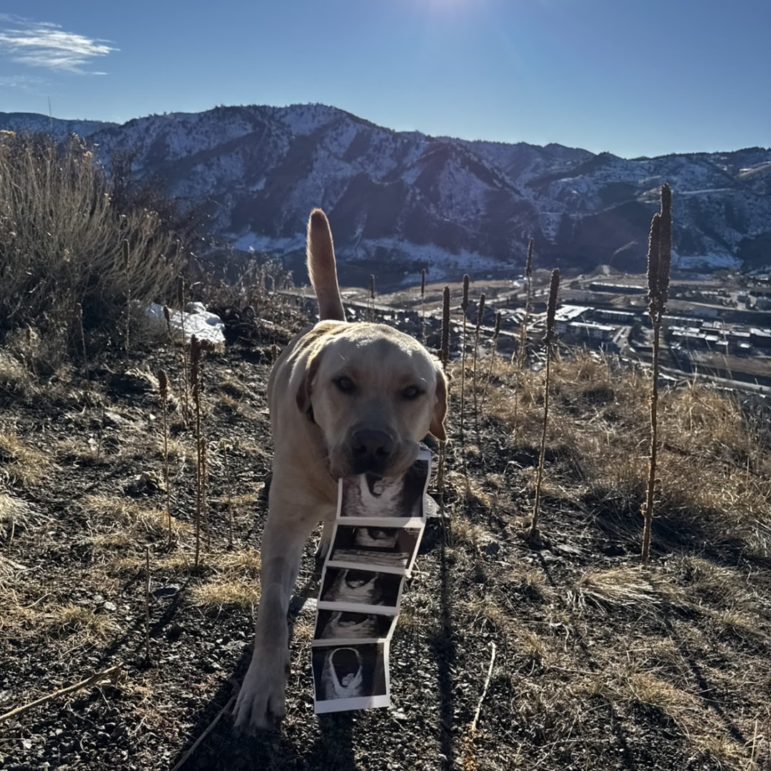 Photo shared by Jill for their Babylist baby registry.