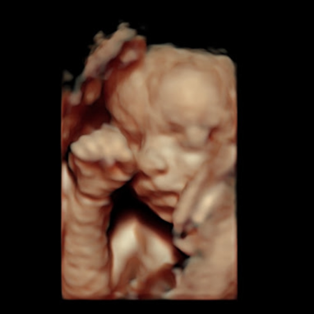 Photo shared by Jay&Nate for their Babylist baby registry.