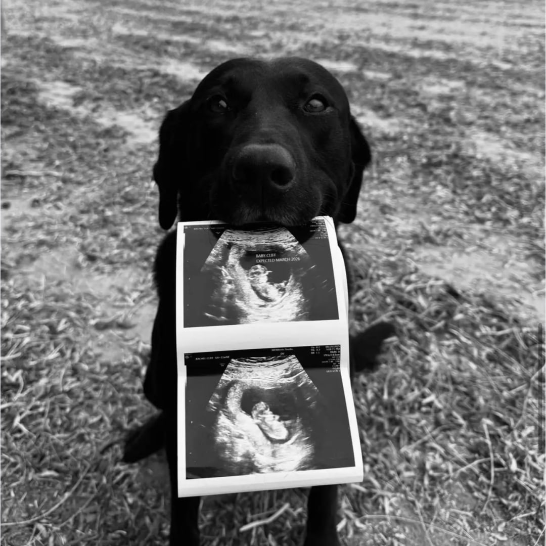 Photo shared by Rachel for their Babylist baby registry.