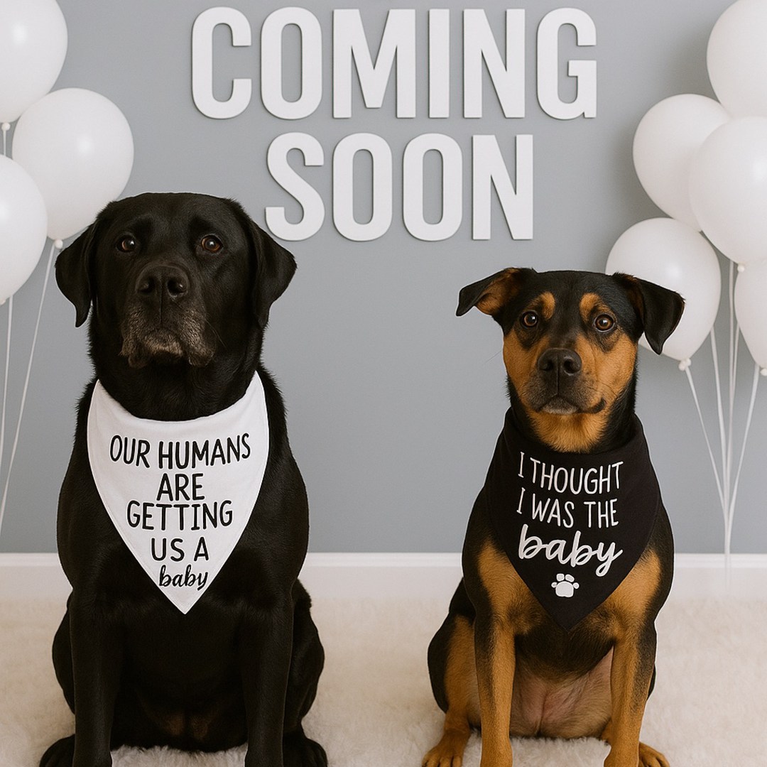 Photo shared by Brittany for their Babylist baby registry.