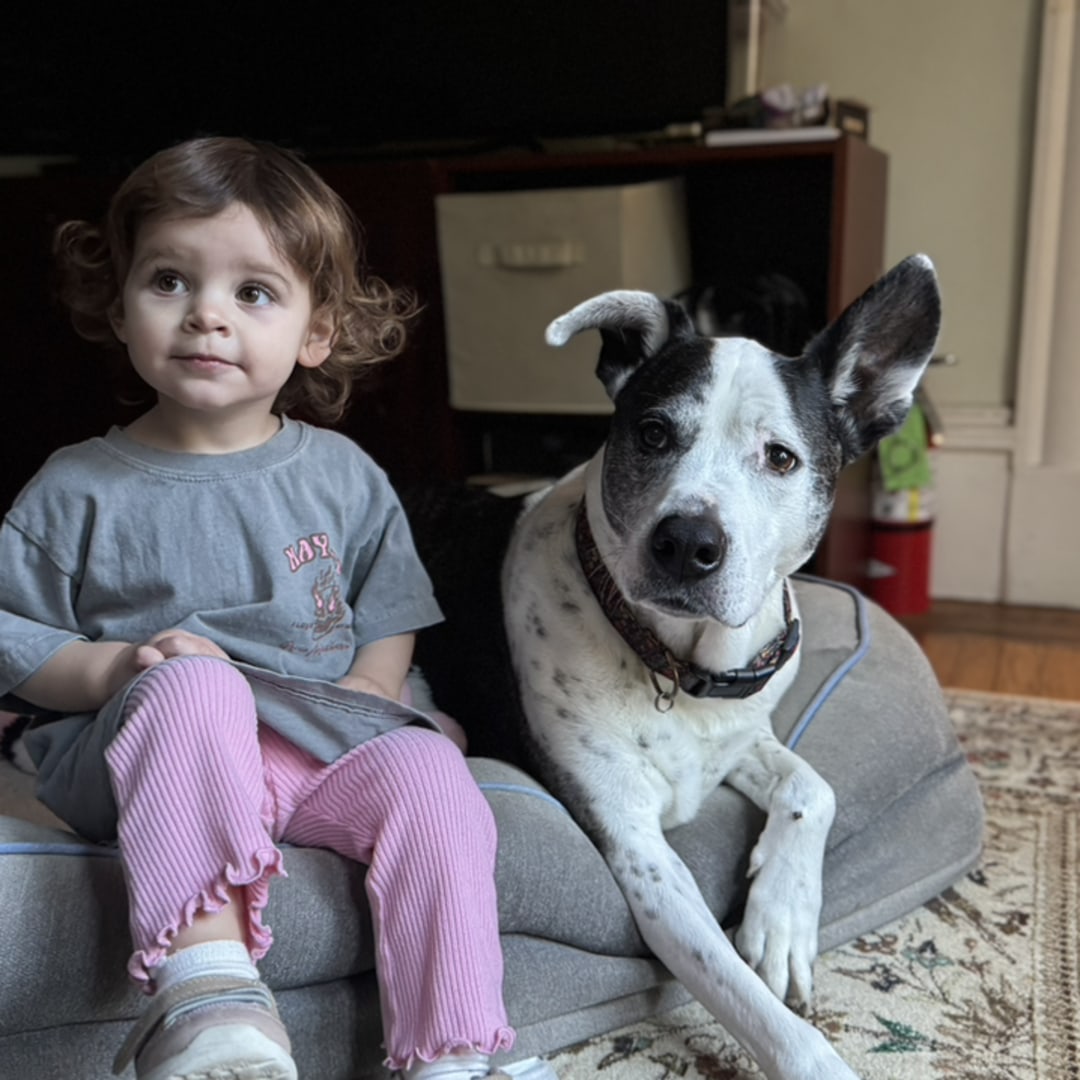 Photo shared by Emma for their Babylist baby registry.