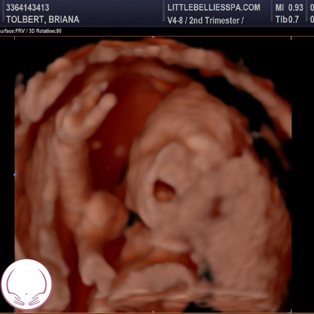 Photo shared by William & Christopher for their Babylist baby registry.