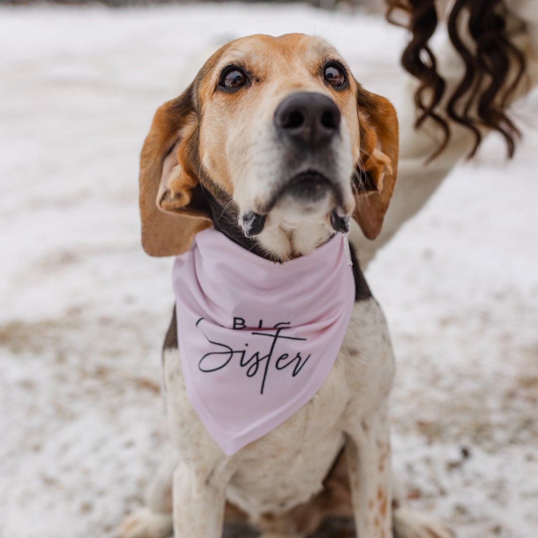 Photo shared by Elisabeth for their Babylist baby registry.