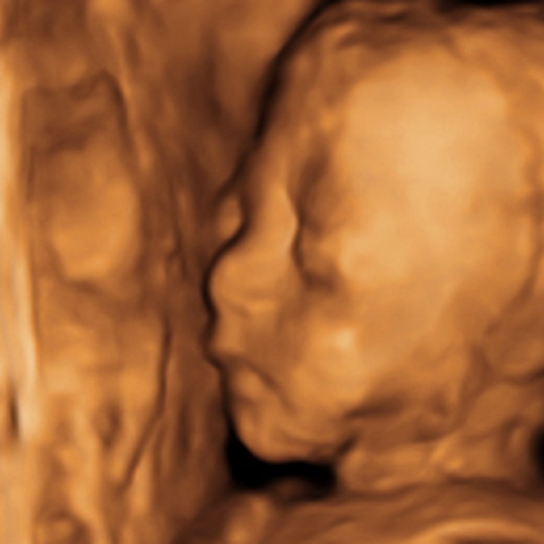 Photo shared by Maria for their Babylist baby registry.