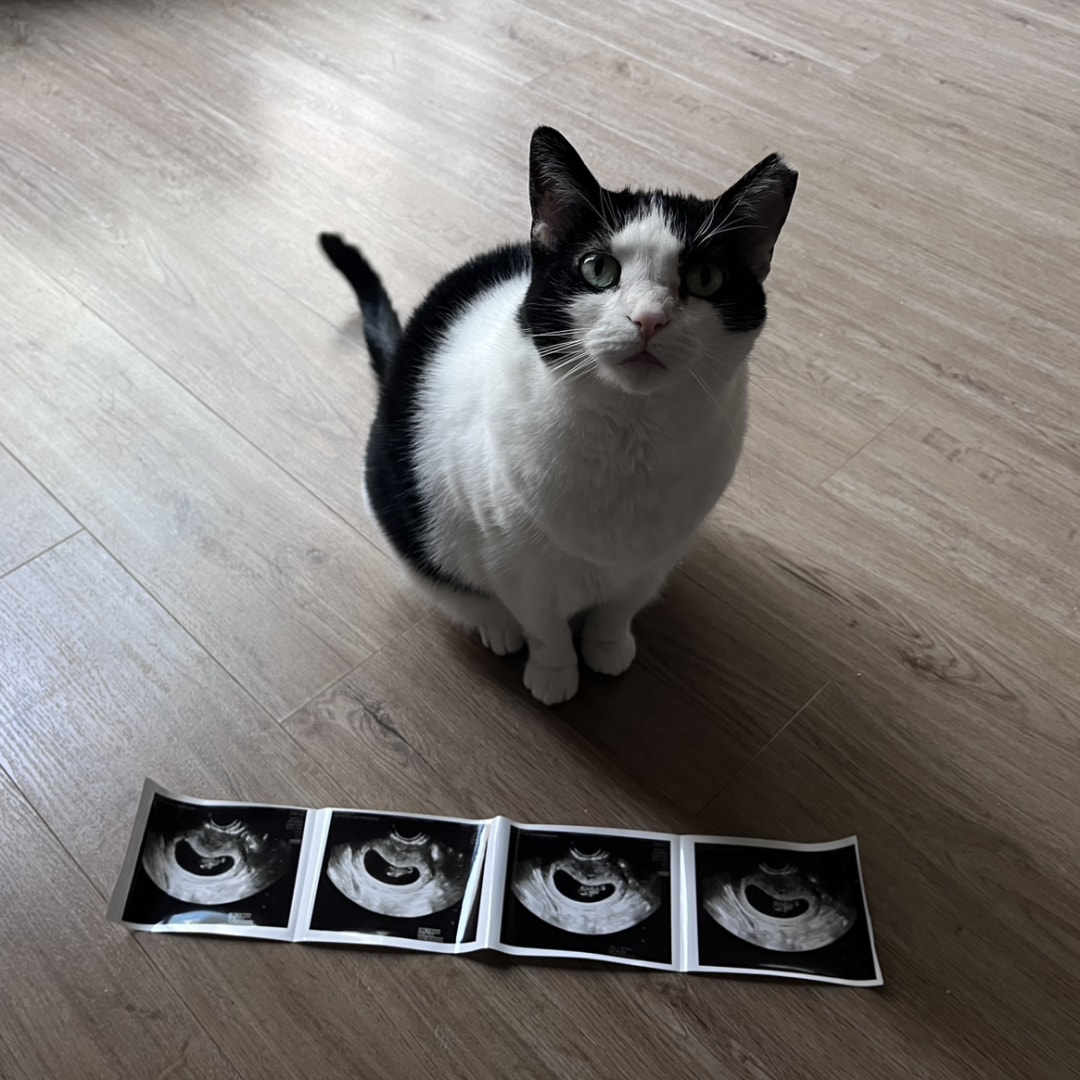 Photo shared by Megan for their Babylist baby registry.