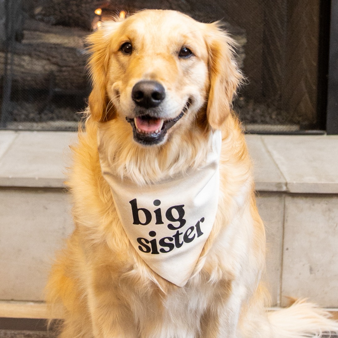 Photo shared by Samantha for their Babylist baby registry.