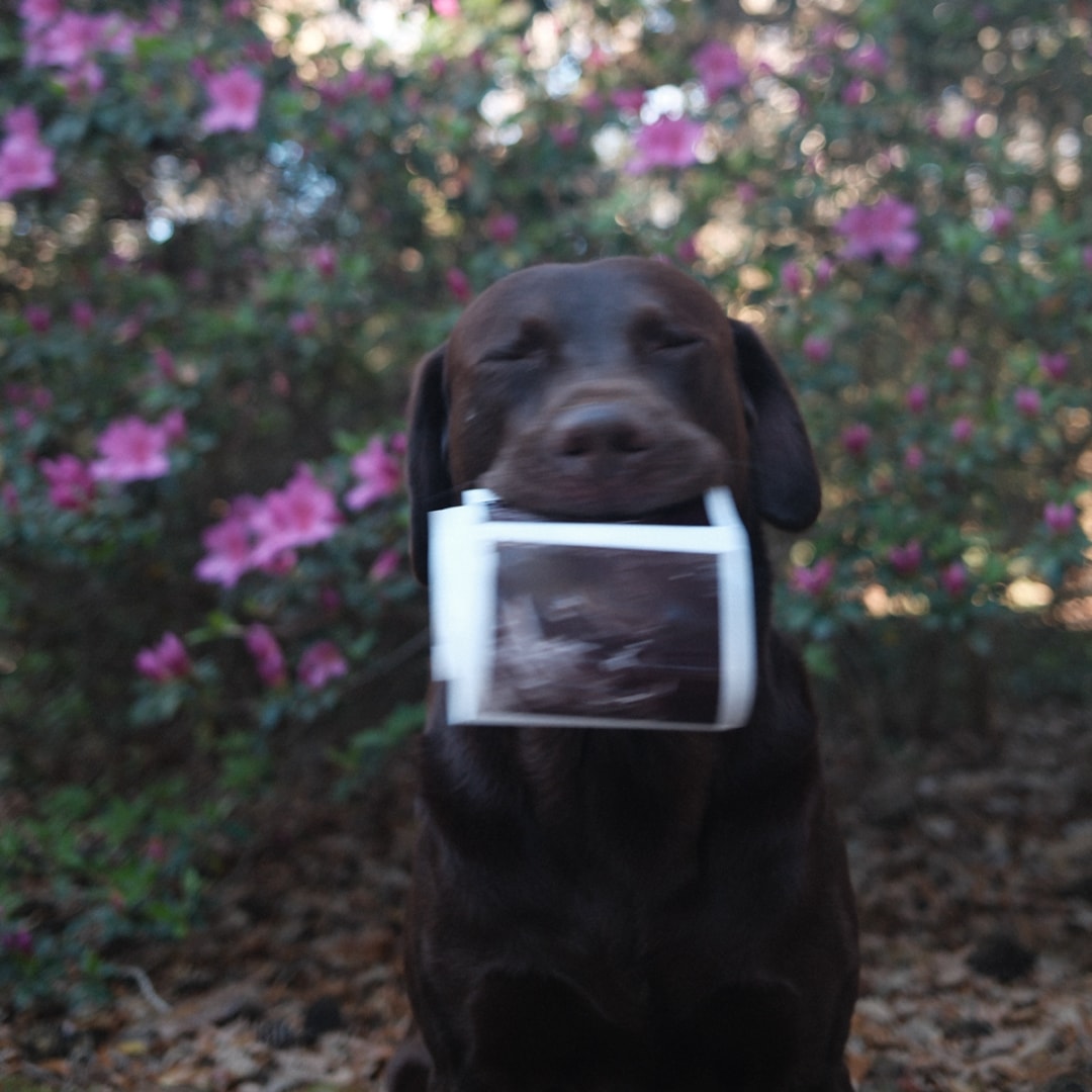 Photo shared by Abby for their Babylist baby registry.