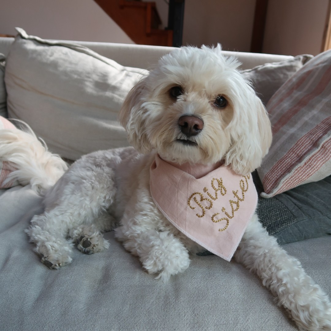 Photo shared by Alexandra for their Babylist baby registry.