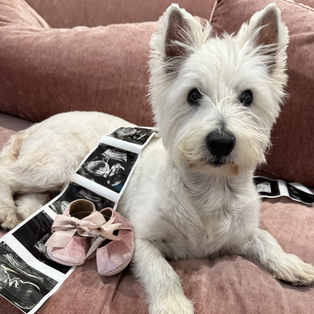 Photo shared by Louise for their Babylist baby registry.