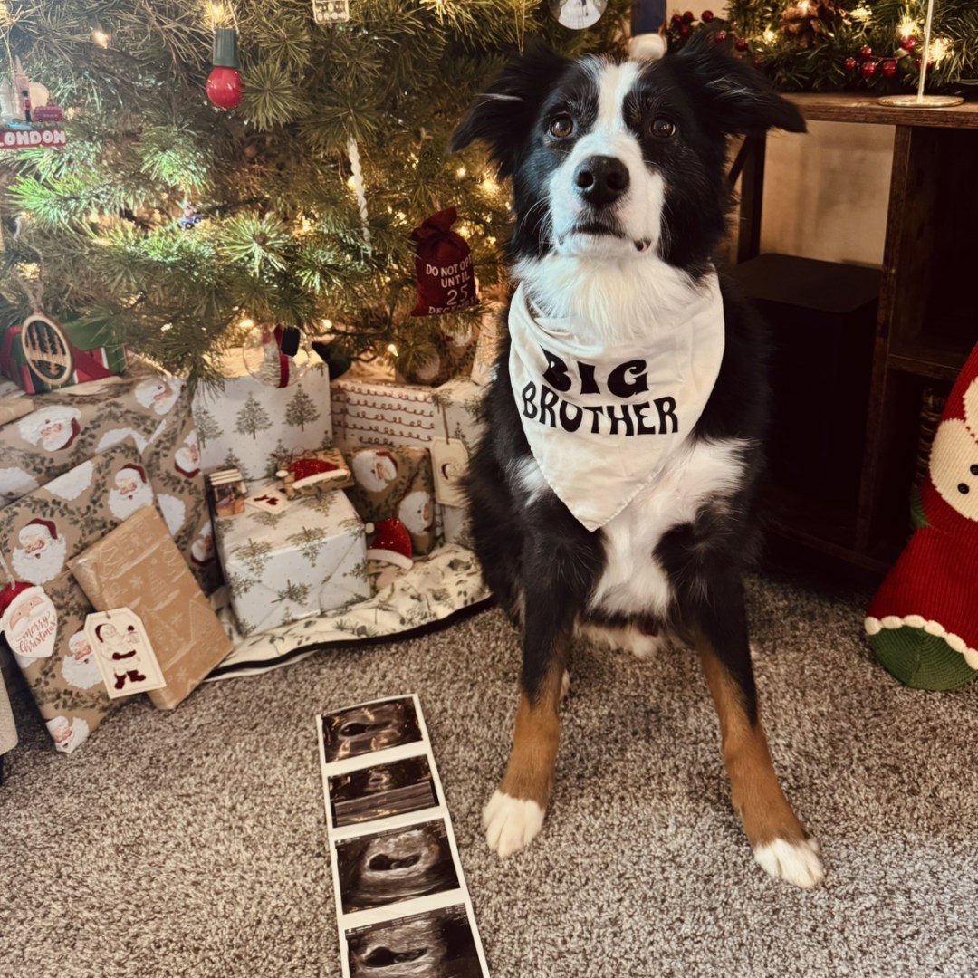 Photo shared by Kaylen for their Babylist baby registry.