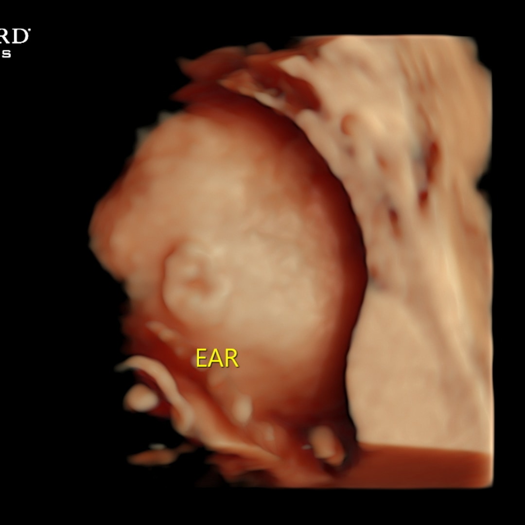 Photo shared by Kaylee for their Babylist baby registry.