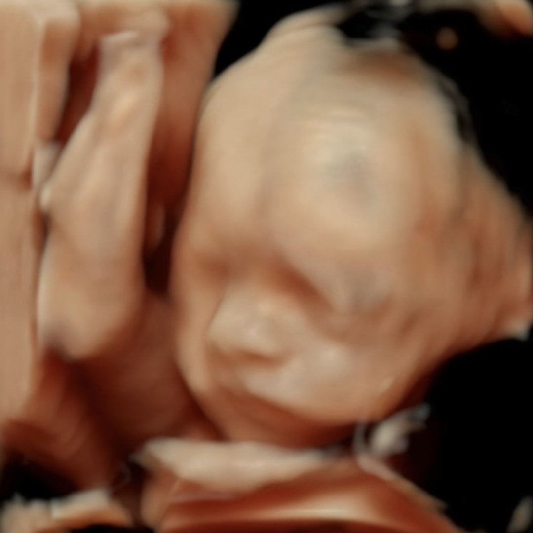 Photo shared by Erika for their Babylist baby registry.
