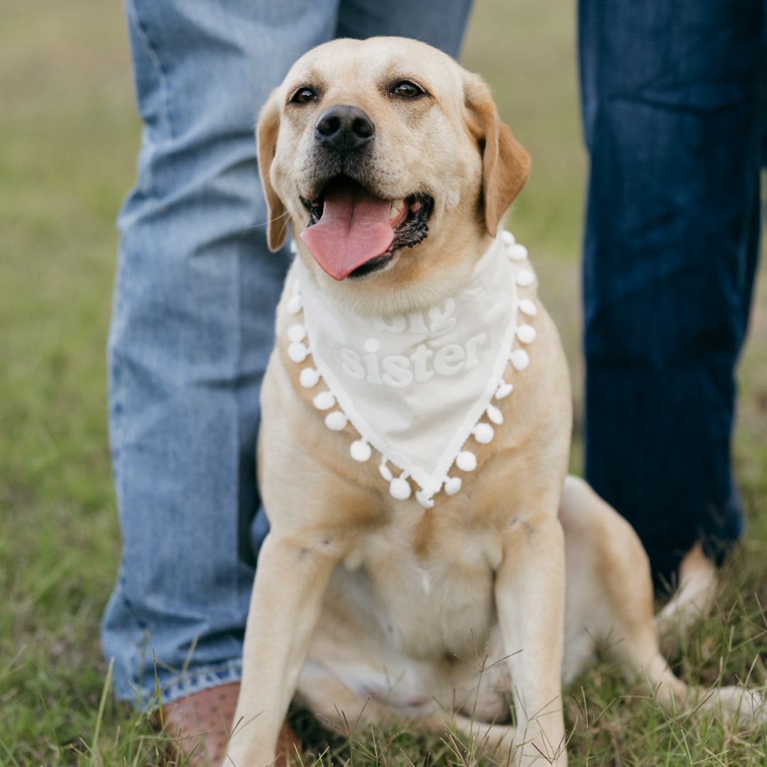 Photo shared by Makayla for their Babylist baby registry.