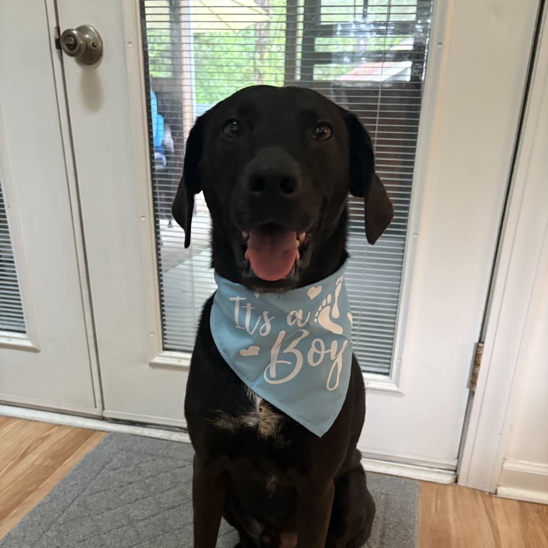 Photo shared by Carson for their Babylist baby registry.