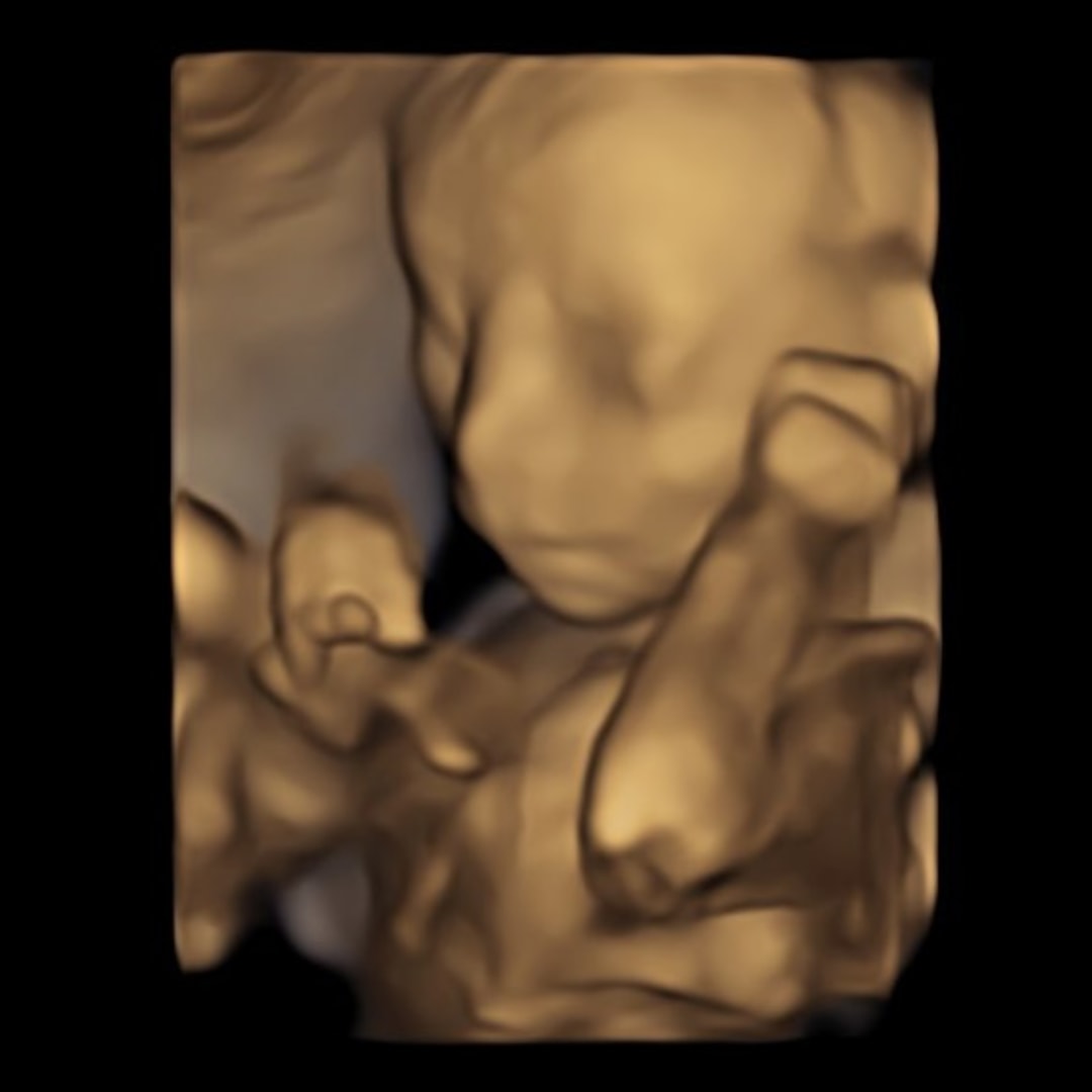 Photo shared by Peydon for their Babylist baby registry.