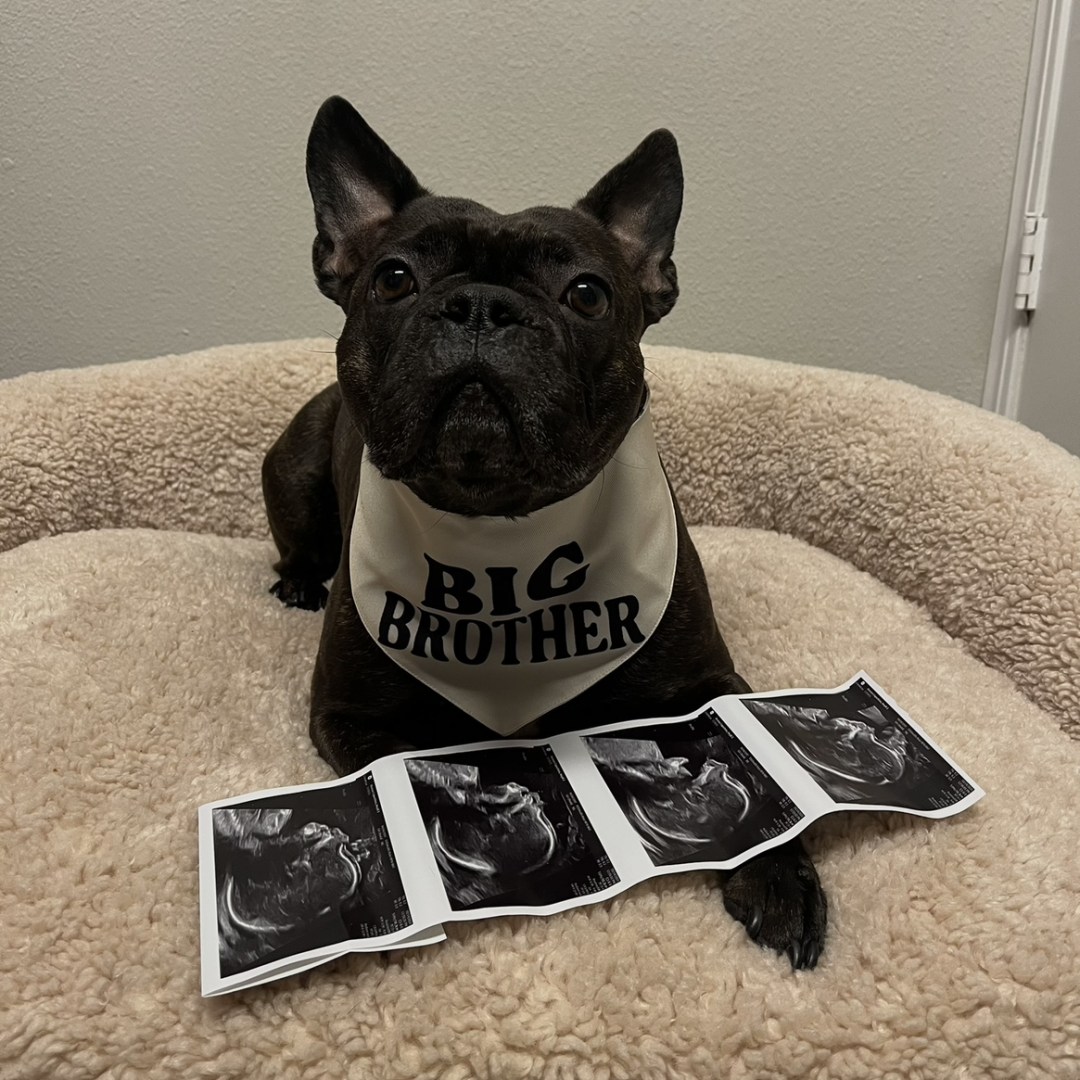 Photo shared by Heydi for their Babylist baby registry.